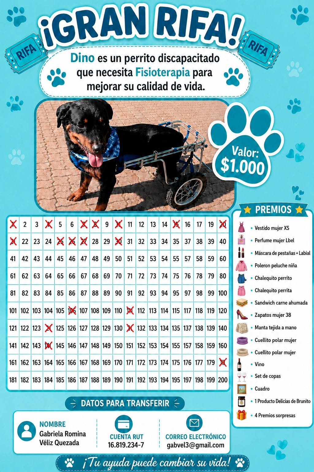 Rifa Dino perrito con discapacidad