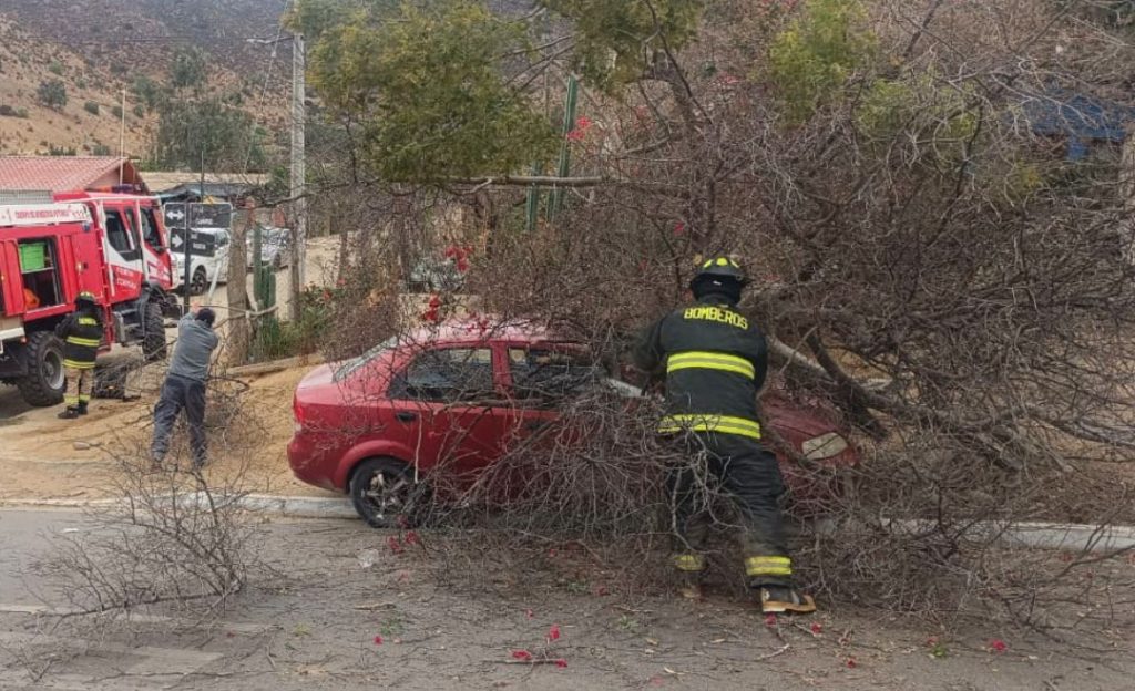 Se registran fuertes vientos en la Región de Valparaíso por sistema frontal