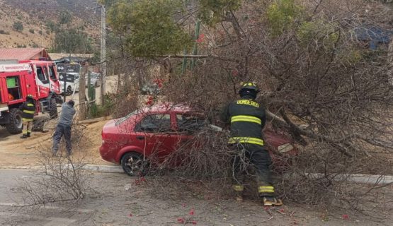 Se registran fuertes vientos en la Región de Valparaíso por sistema frontal