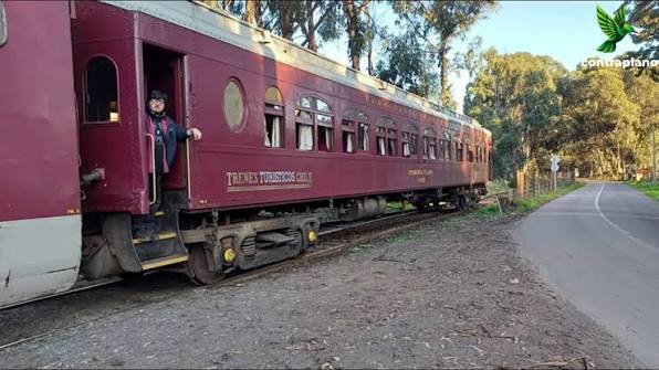 tren del recuerdo