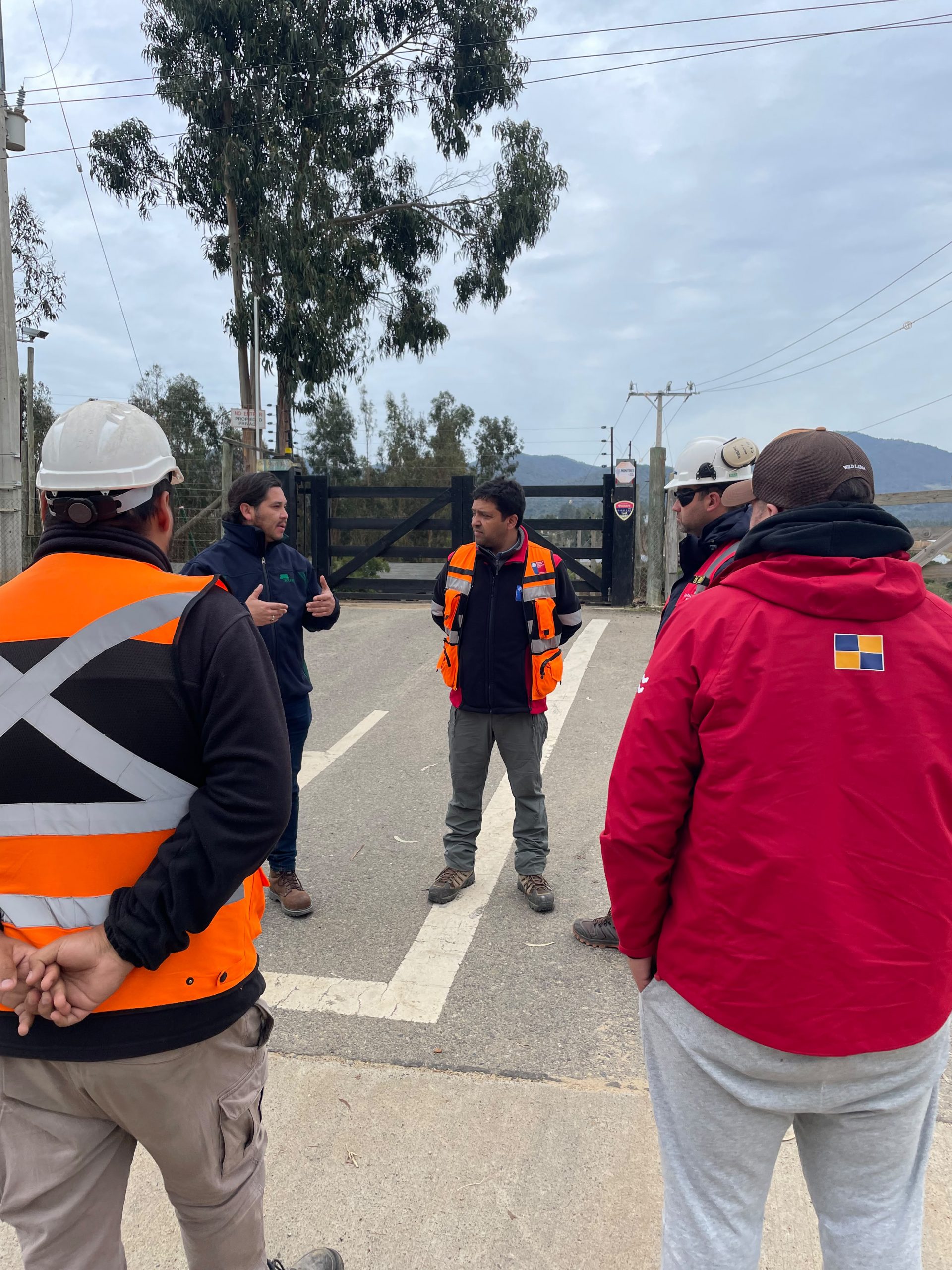 Detectan más de 50 árboles con riesgo de caída en rutas de Zapallar