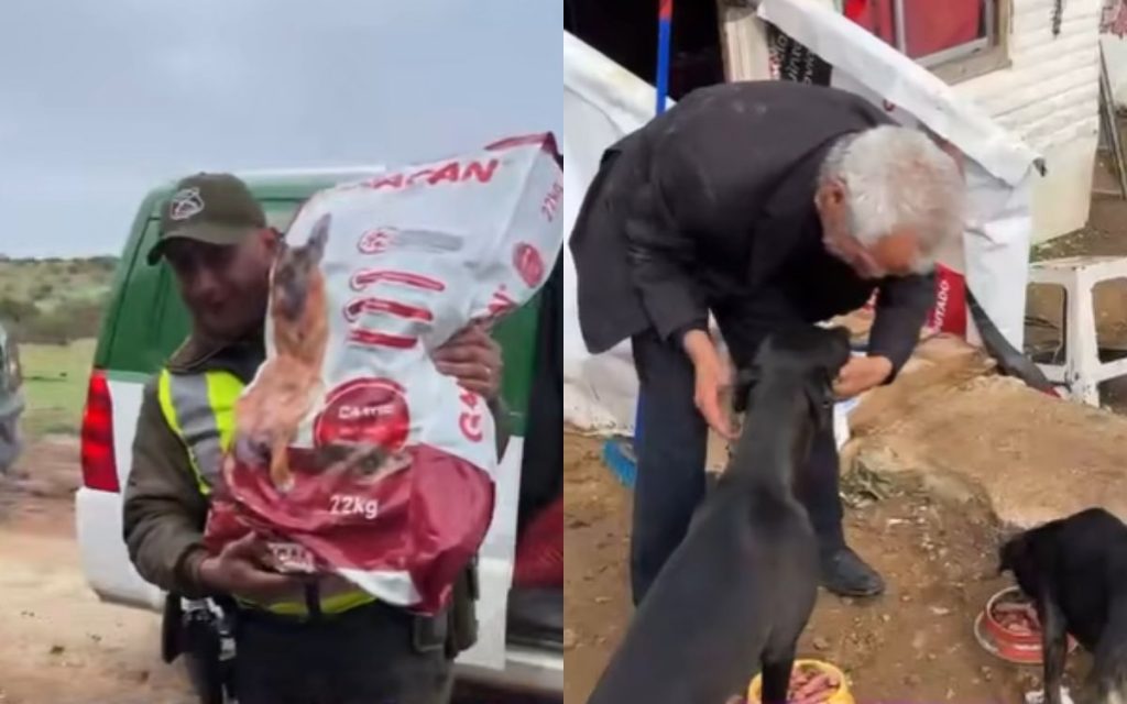 La Ligua: Carabineros ayuda a adulto mayor acogido en albergue y a sus animales