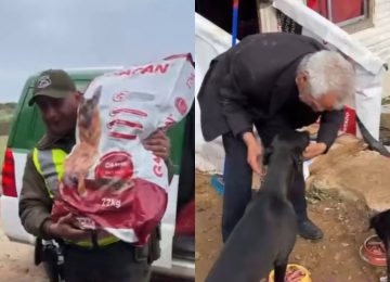 La Ligua: Carabineros ayuda a adulto mayor acogido en albergue y a sus animales