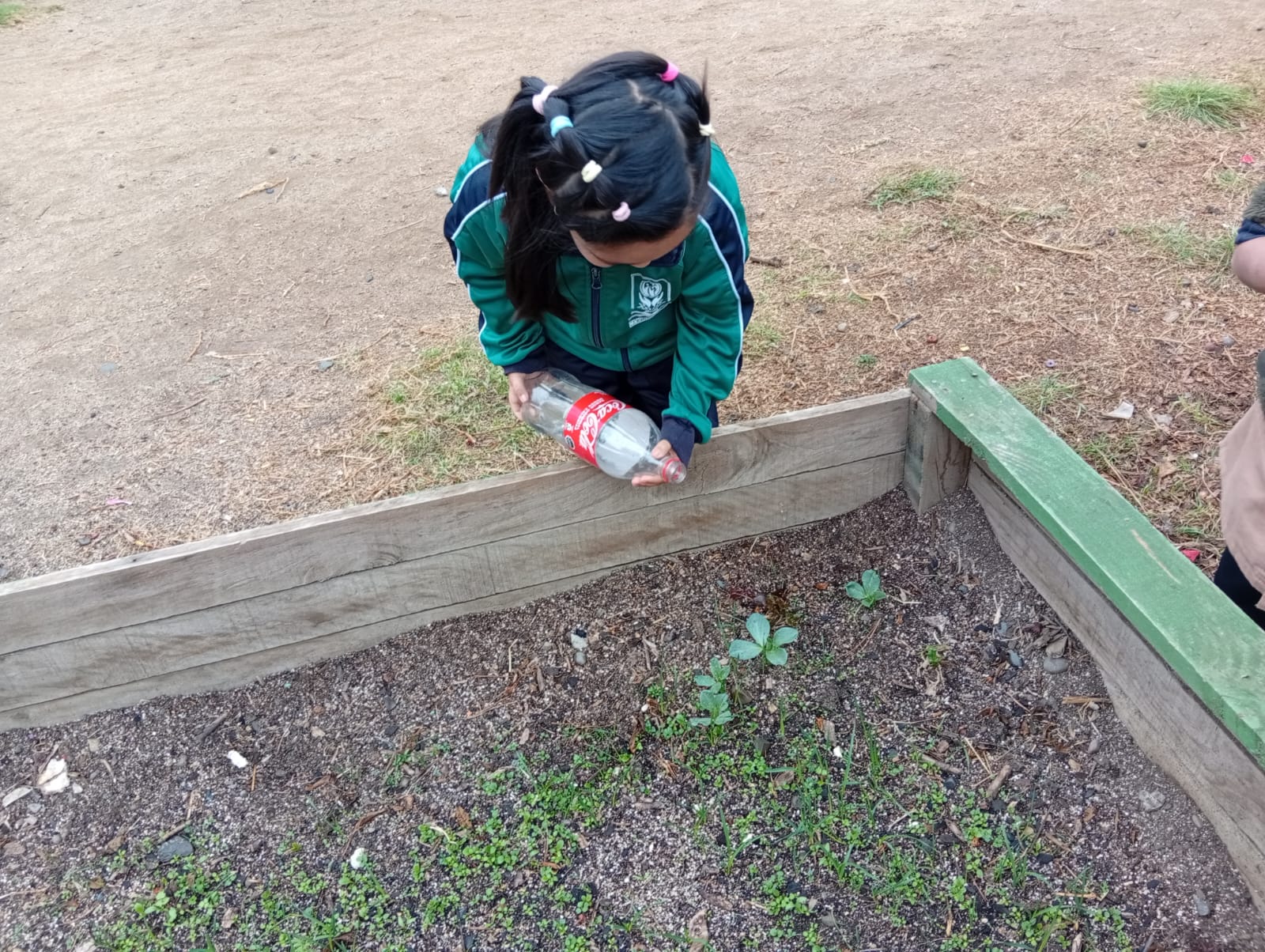 Quillota Escuela Nuestro Mundo logra 2.º lugar nacional en concurso medioambiental