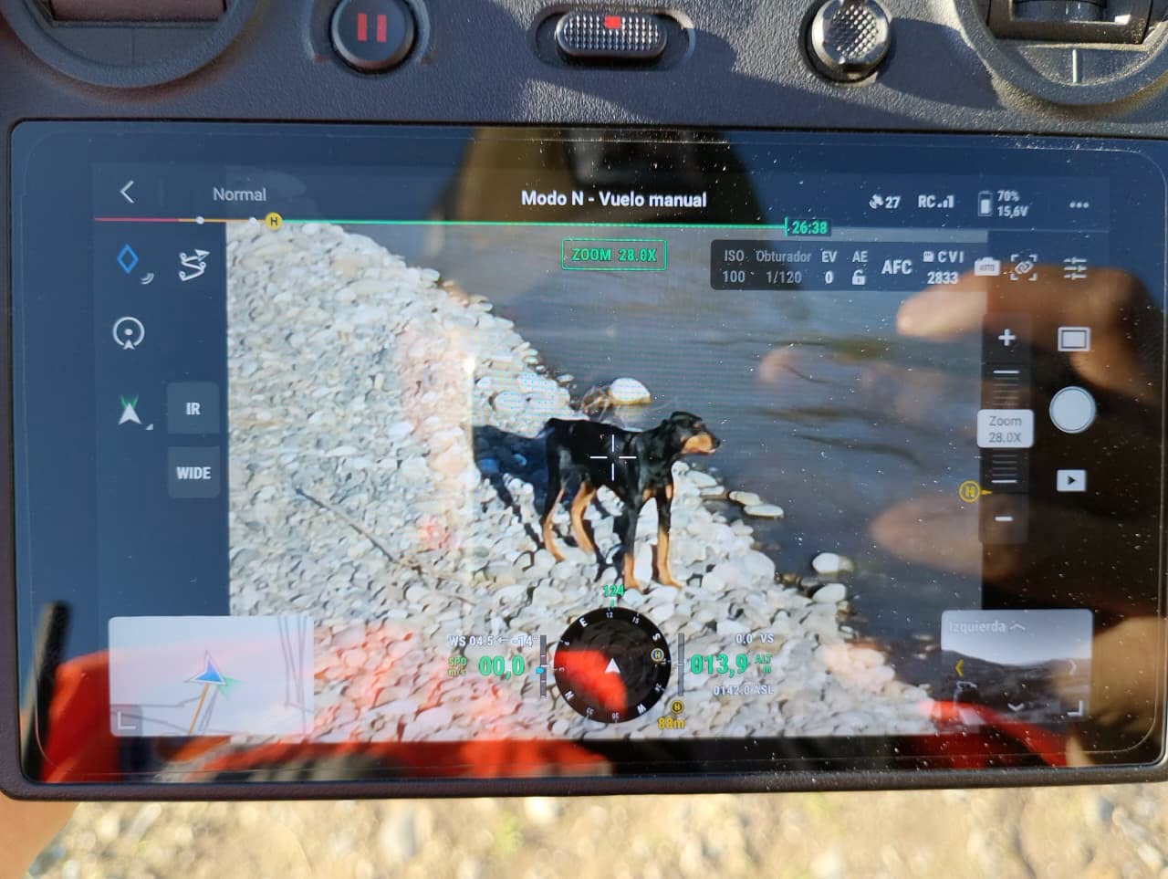 Rescataron a perro atrapado en islote del río en Quillota