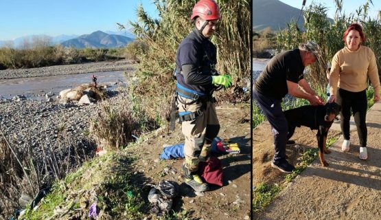 Rescataron a perro atrapado en islote del río en Quillota