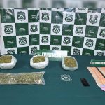 Cayó en la ruta 5 Norte en El Melón con cuatro kilos de marihuana