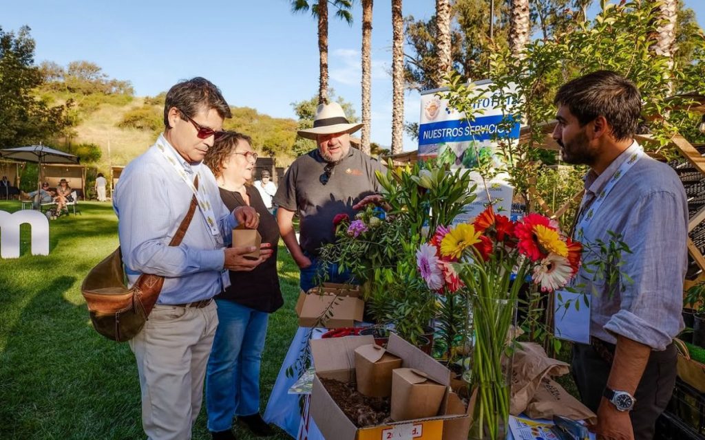 Expo Plantarium crece a dos días en Quillota
