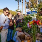 Expo Plantarium crece a dos días en Quillota