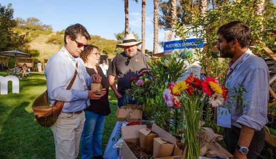 Expo Plantarium crece a dos días en Quillota
