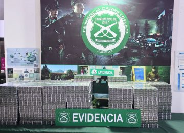 Nogales: Incautan casi 4 mil cajetillas de cigarro de contrabando en bus
