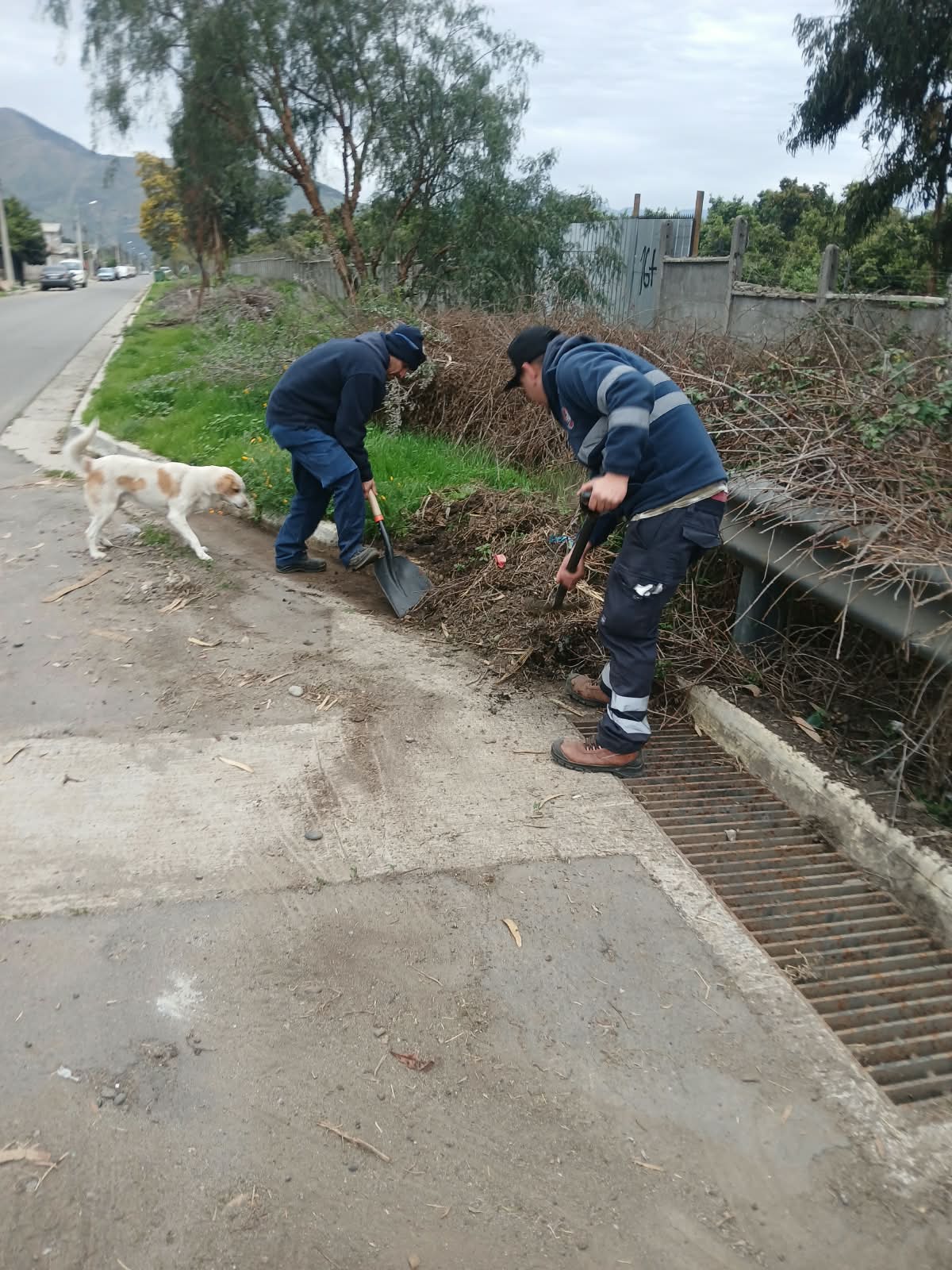 El balance del sistema frontal en la provincia de Quillota