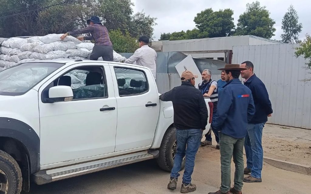 Entregan alimento para los animales de 155 ganaderos de la provincia de Petorca