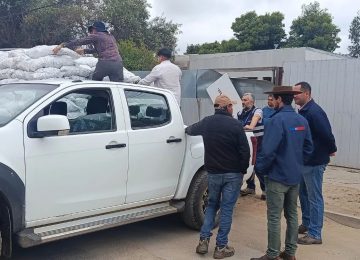 Entregan alimento para los animales de 155 ganaderos de la provincia de Petorca