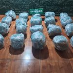 Fiscalizan auto en la Ruta 5 Norte y descubren más de 40 kilos de marihuana