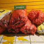 Frustran el robo de 800 kilos de paltas en La Cruz