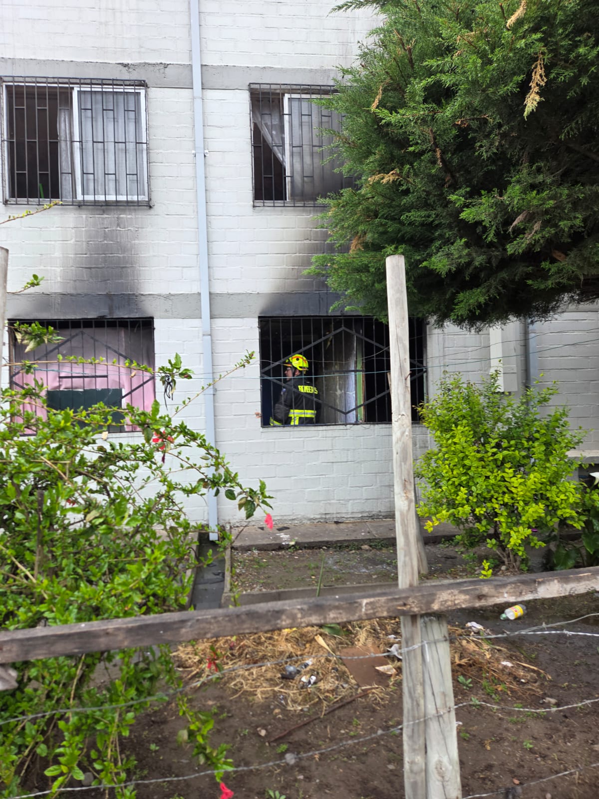 Incendio destruyó dos departamentos y dañó un tercero en Quillota