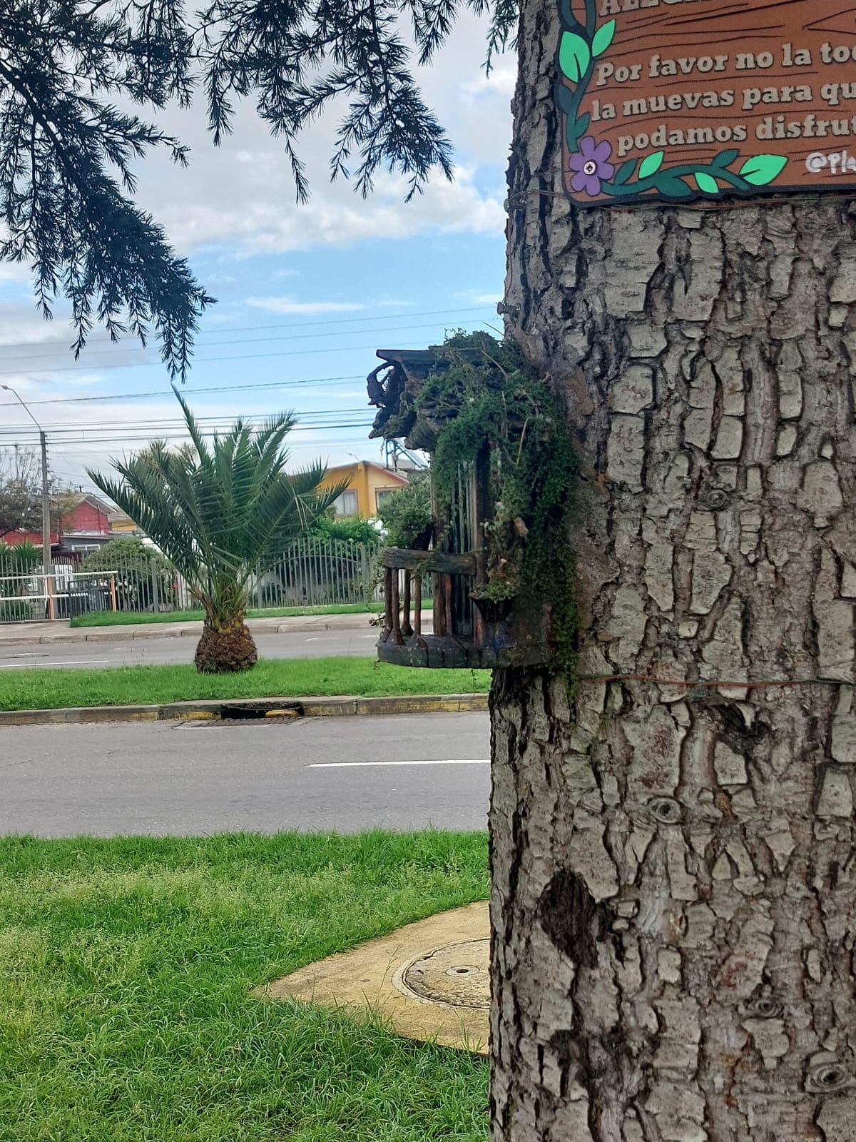 La historia detrás de villa Ratón en Quillota
