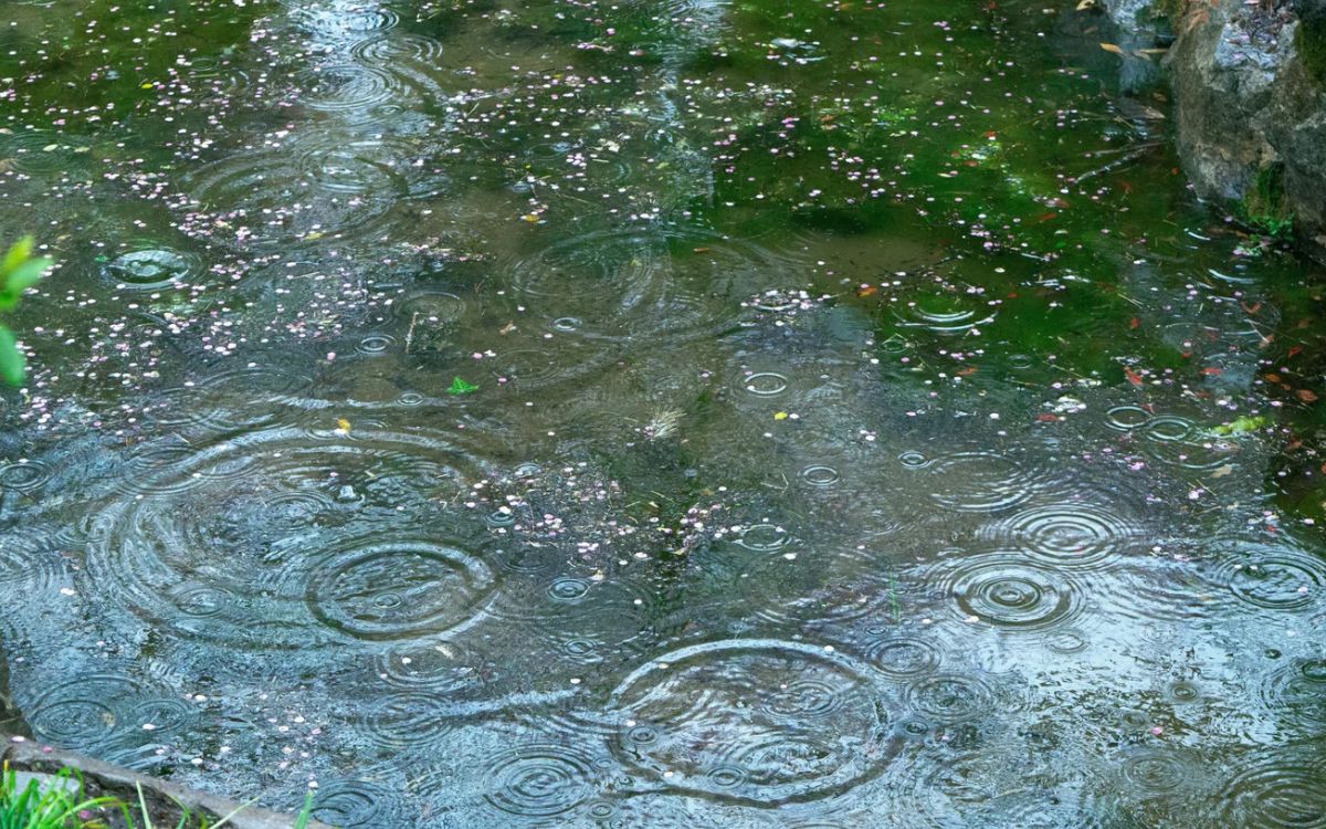 Se espera lluvia, tormentas eléctricas y granizos en la Región de Valparaíso