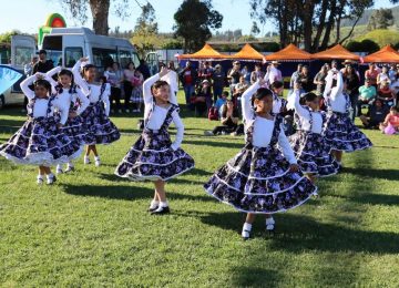 Se viene la Fiesta Costumbrista de Santa Rosa de Colmo 2026